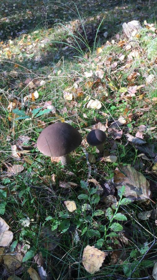 Pokoje Przy Warszawskiej Połczyn-Zdrój Bagian luar foto