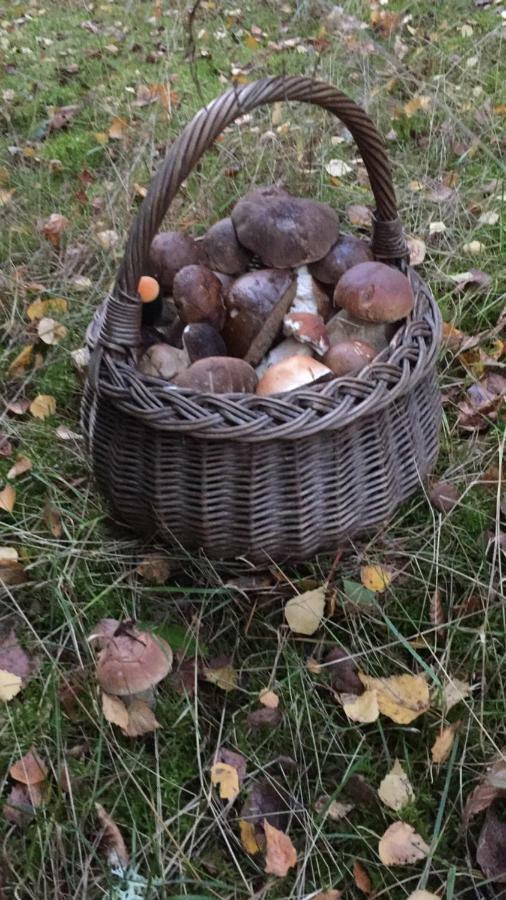 Pokoje Przy Warszawskiej Połczyn-Zdrój Bagian luar foto